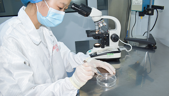 R&D chất làm đầy môi